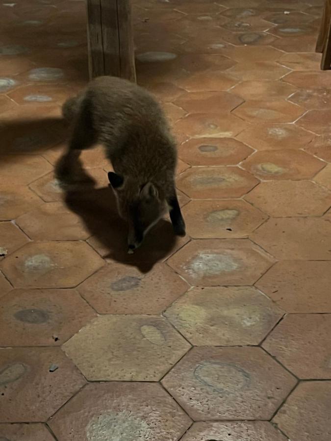 Il Frutteto Di Efesto Villa Biancavilla Buitenkant foto