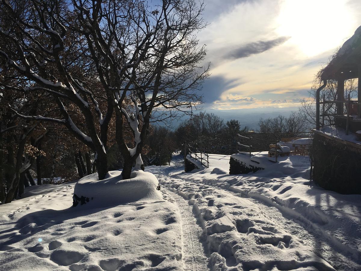 Il Frutteto Di Efesto Villa Biancavilla Buitenkant foto